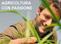 Successivo