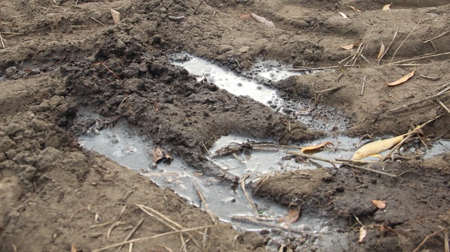 Agrotechniczna ochrona zasobów wody glebowej