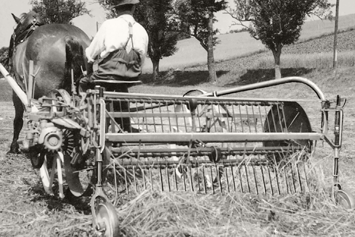 Un ranghinatore a pettine di PÖTTINGER in azione durante la raccolta nel 1949. La trattrice ha una potenza di 1 CV.