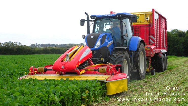 Report: zero grazing for extra forage in Ireland Report: zero grazing for extra forage in Ireland