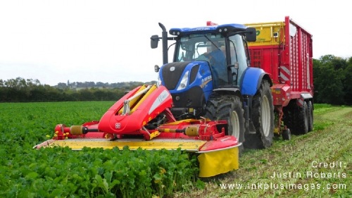 Report: zero grazing for extra forage in Ireland