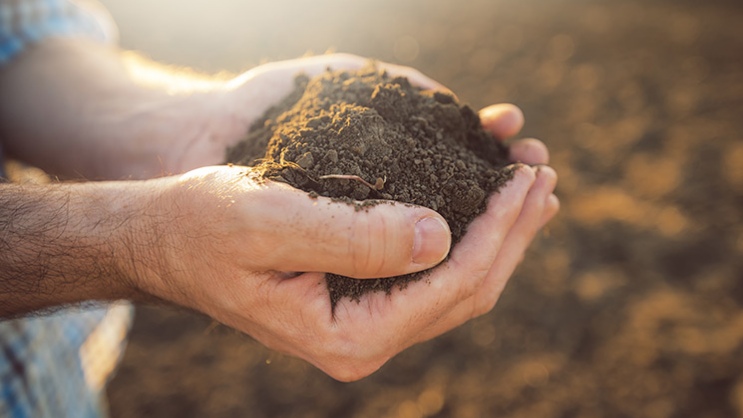 Best soil: Success factors for the best soil