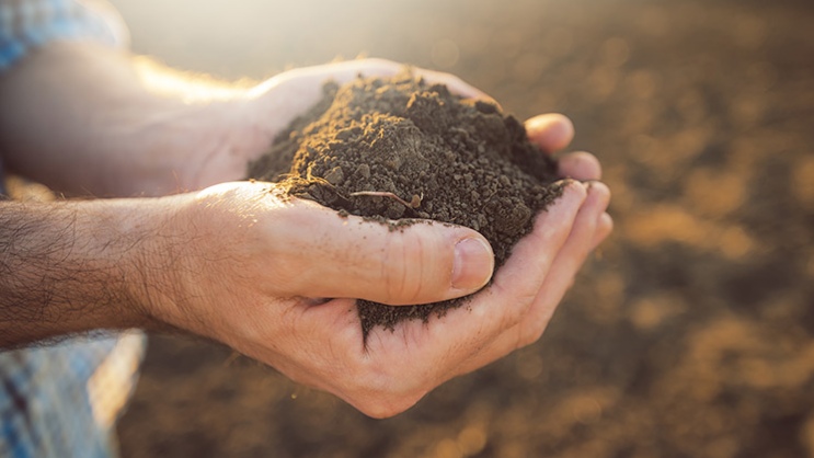 Terreno migliore: lavorazione ottimale del terreno Terreno migliore: lavorazione ottimale del terreno