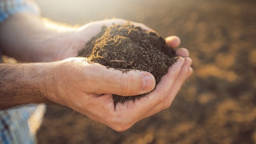 Najlepsza gleba: czynniki warunkujące uzyskanie najlepszej gleby