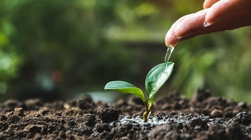 Wassermanagement in der pflanzlichen Produktion