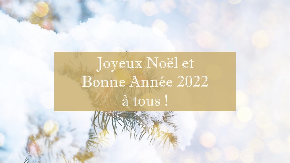 Carte De Voeux - Fêtes de Fin D'annee - Joyeux Noel Et Bonne Annee