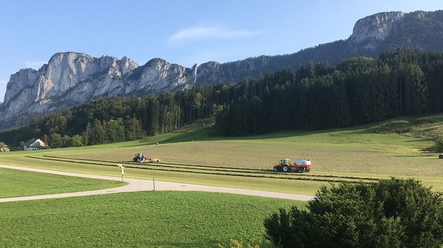 Fanbilder Herbst 2021