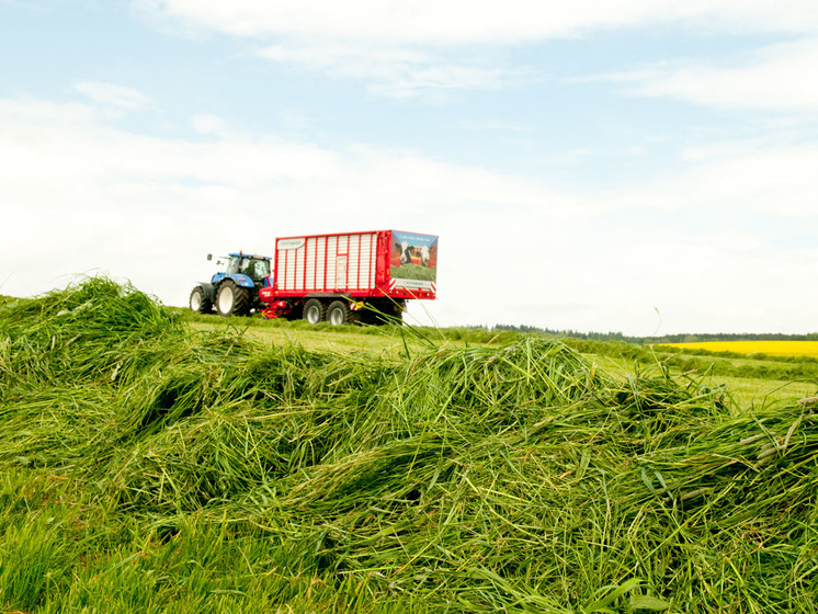 Neu: Die Ladewagendetails beim JUMBO