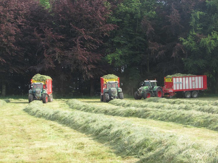 JUMBO voor meer winstgevendheid in Thibessart te Wallonië