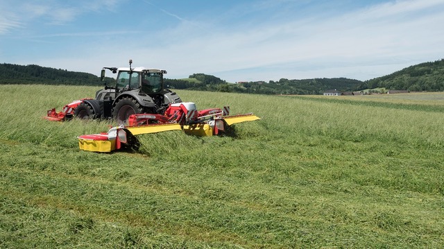 Miser sur l’herbe pour constituer ses stocks hivernaux