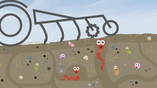 Tag des Regenwurms: Die Tunnelbauer verbessern die Bodenfruchtbarkeit
