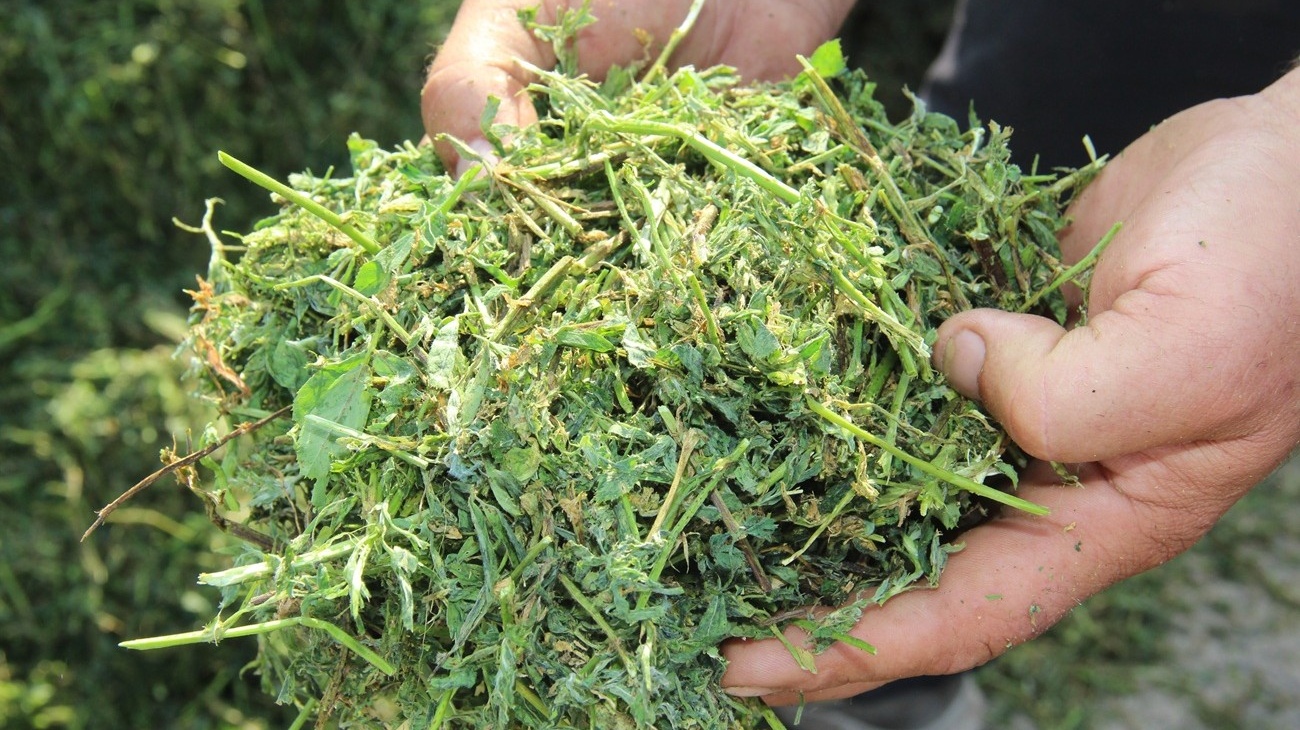 Залишатися прибутковим за низьких закупівельних цін 