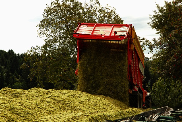 Uniformly distributed blanket of forage