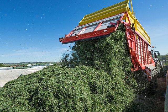 Qualité d'ensilage maximale