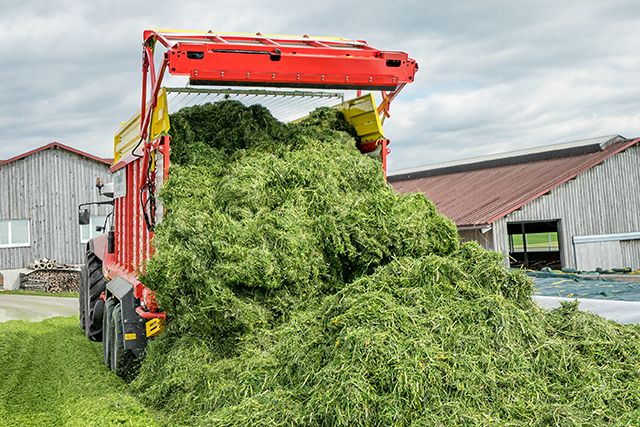 Qualité d'ensilage maximale