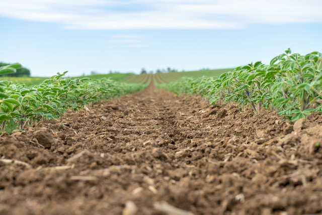 Possible applications for crop care machines