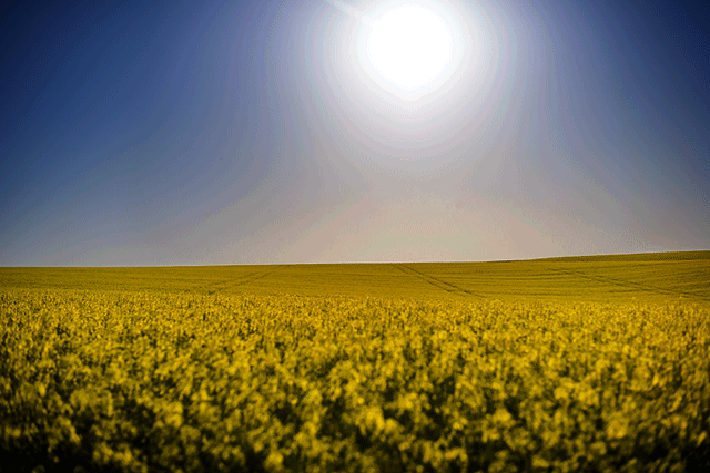 Efficient drilling for perfect crop emergence
