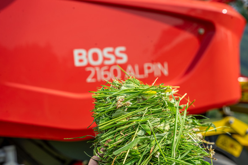 BOSS 2160 LP ALPIN