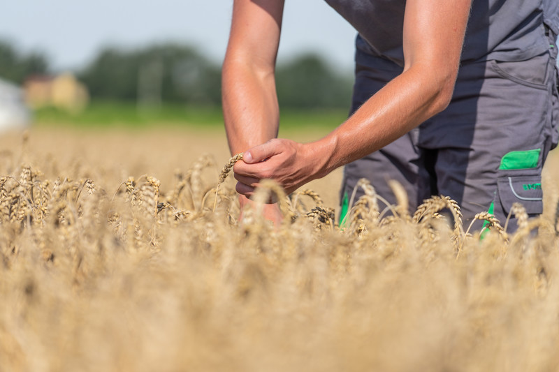 Maintaining soil fertility