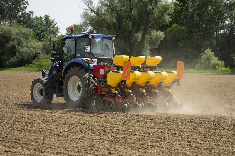 MS 8100: 4 - 6 rows