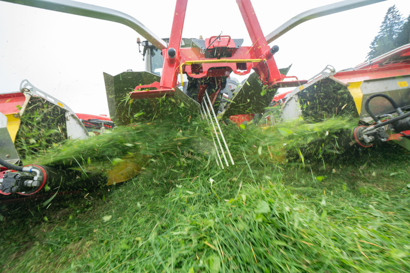 NOVACAT V 10000 ED CL