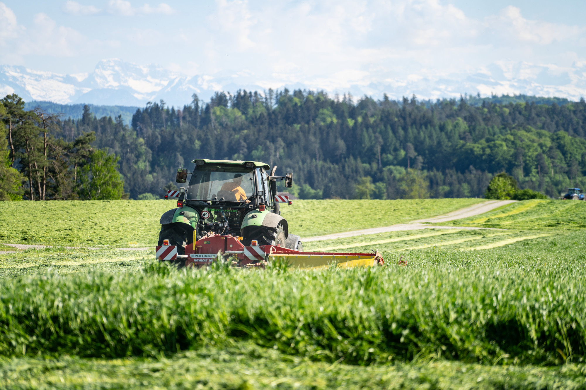 world-milk-day-2025-p-ttinger-united-kingdom