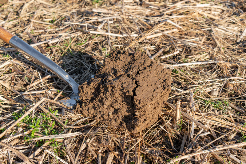 The five pillars of soil fertility