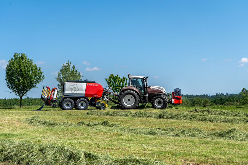 The highest silage quality