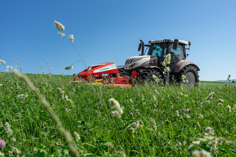 La période optimale de coupe