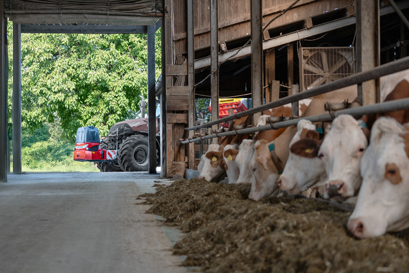 The best forage The best forage