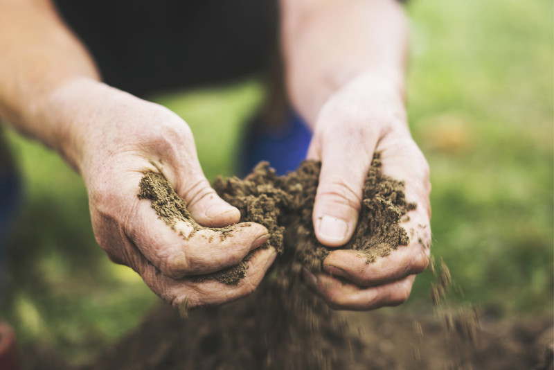 Dla maksymalnej wydajności i optymalnego rozwoju
