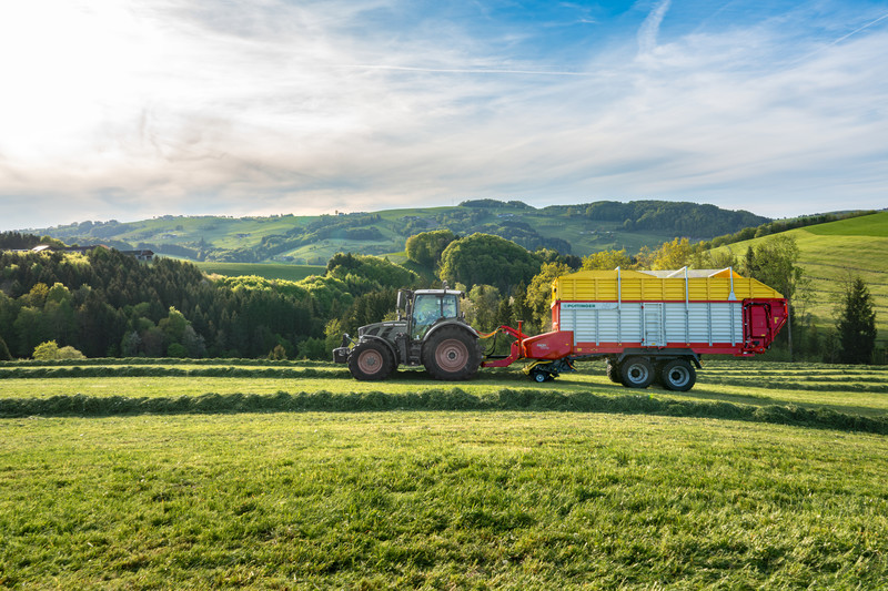 Top forage quality