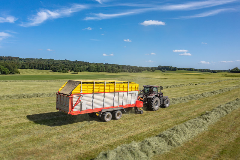 Dry forage
