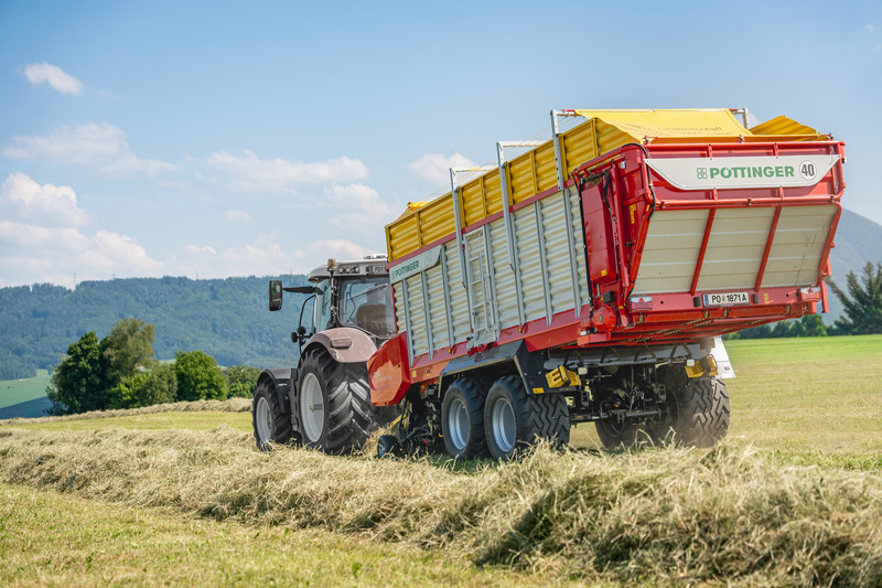 Top forage quality
