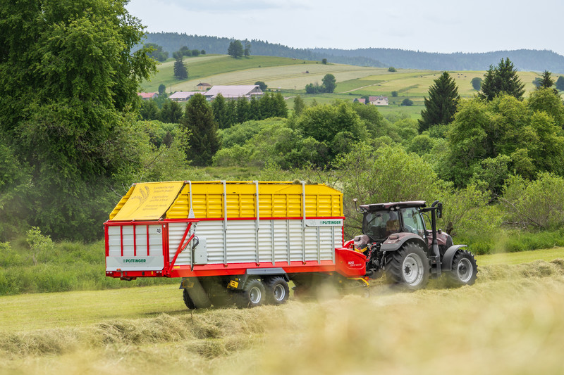 Dry forage