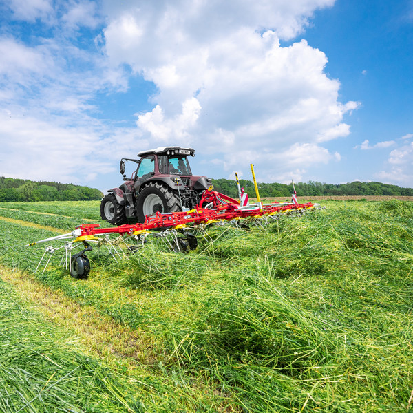 What Tops Flatter Small Chests  International Society of Precision  Agriculture