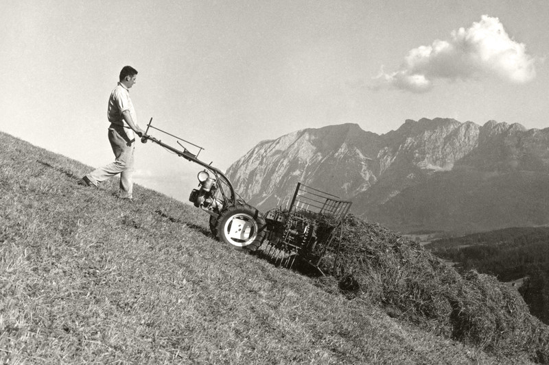 Tradition and haymaking in the Alps