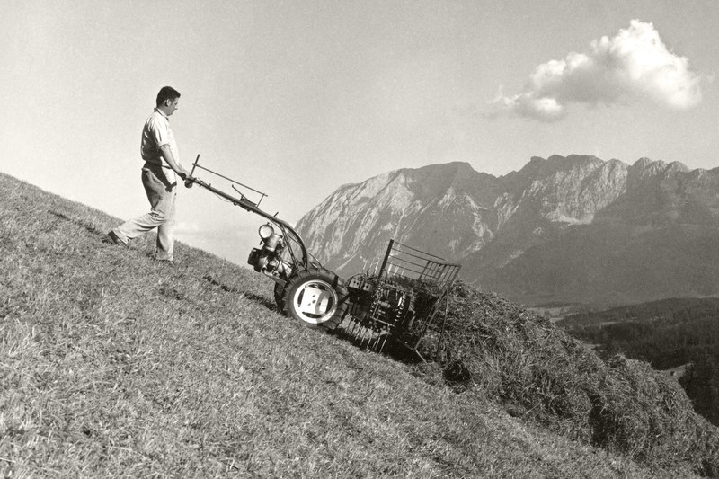 La récolte du foin dans les Alpes